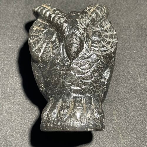 Hibou en Saffordite d Indonésie