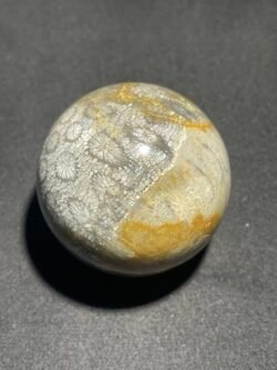 Sphère Corail Fossilisé d Indonésie