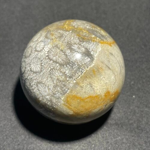 Sphère Corail Fossilisé d Indonésie