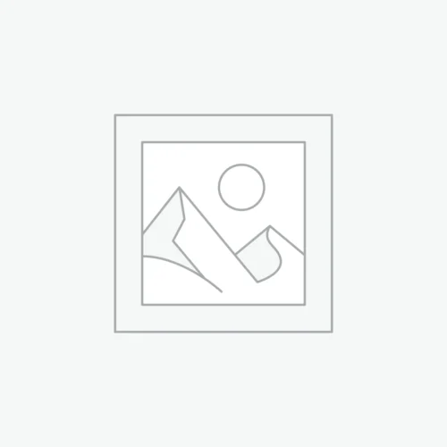 Lot de labradorites druzy